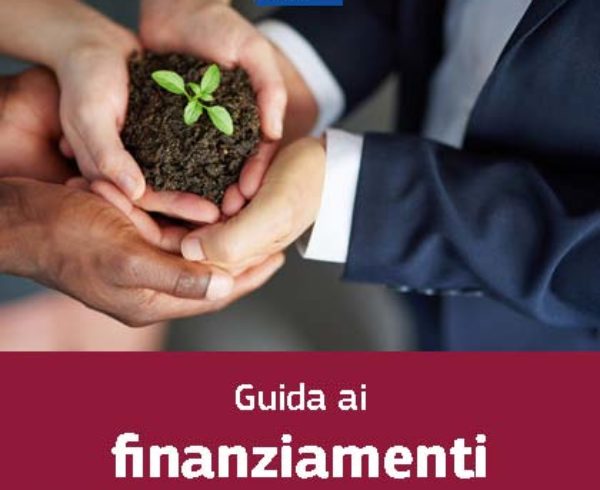 Finanziamenti Unione Europea