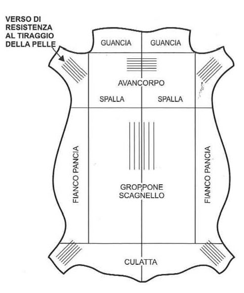 parti anatomiche pellame