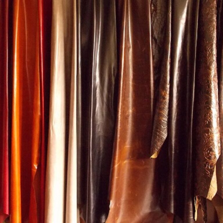 Caratteristiche del Cuoio e del Pellame