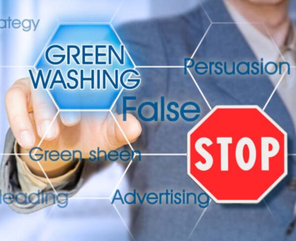 5 lezioni dal caso Shein sul Greenwashing
