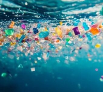 Microplastiche nella moda tra glitter coating finiture e REACH