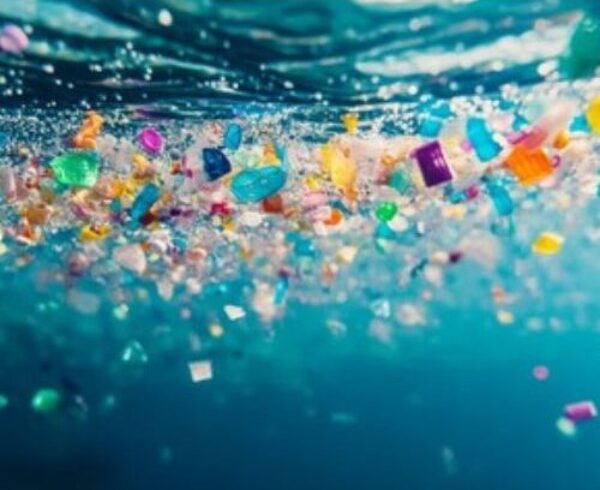 Microplastiche nella moda tra glitter coating finiture e REACH